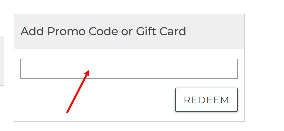 “How to apply a L.L.Bean promo code”