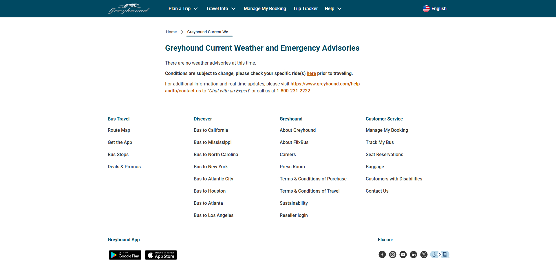 Greyhound coupons