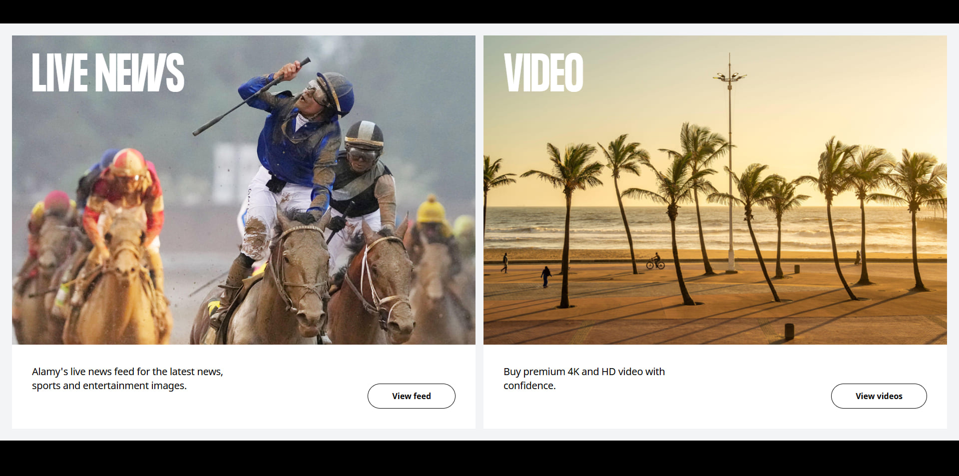 Alamy Promo Code