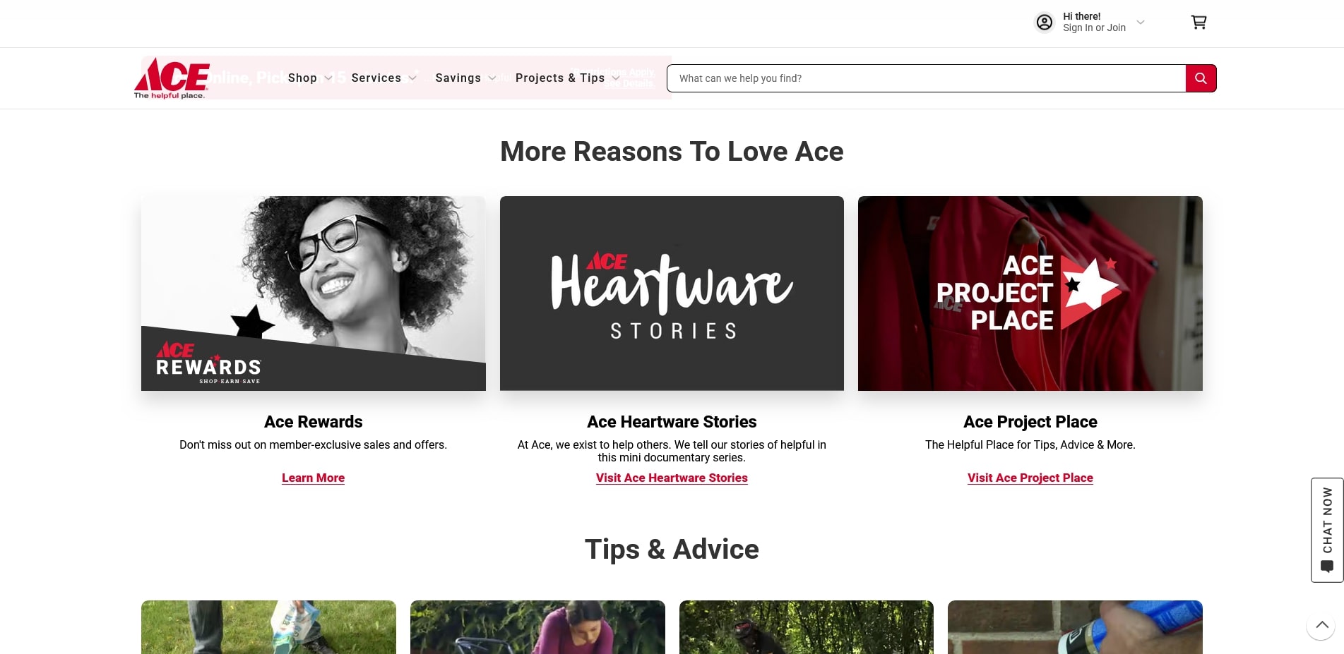 Ace Hardware