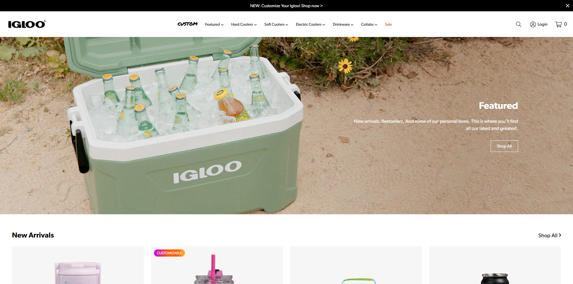 Igloo voucher