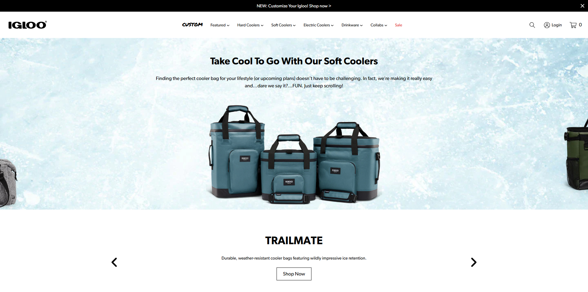 Igloo Promo Code